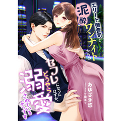 エリート御曹司と泥酔ワンナイトからのセフレになったはずが、どうやら溺愛されているようです