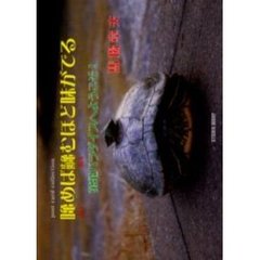 【カ】めば【カ】むほど味がでる