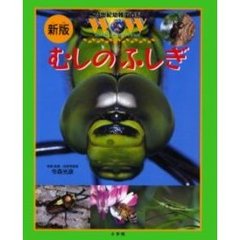むしのふしぎ　新版
