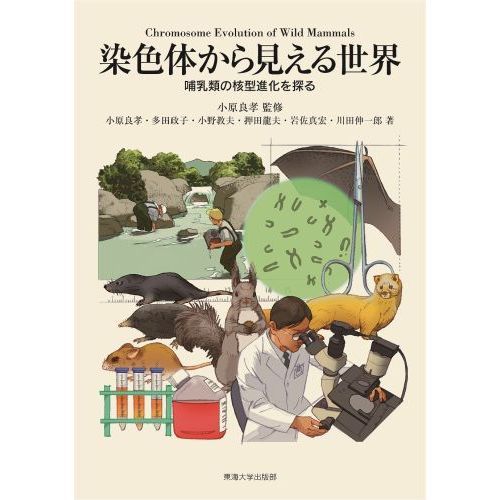 ֥ͥåȥåԥ󥰤㤨Τ鸫Ӯγ˷ʲõפβǤʤ4,180ߤˤʤޤ