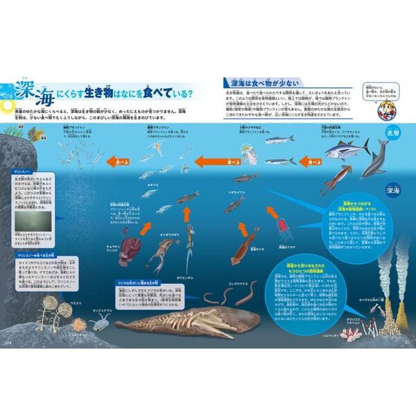 深海 通販｜セブンネットショッピング