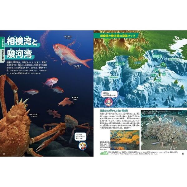 深海 通販｜セブンネットショッピング