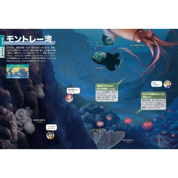 深海 通販｜セブンネットショッピング