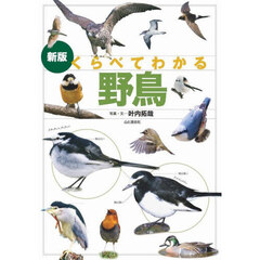くらべてわかる野鳥　識別ポイントで見分ける　新版
