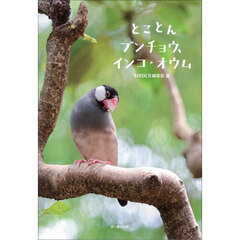 とことんブンチョウ、インコ・オウム