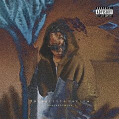 清水翔太／Pulsatilla cernua（完全生産限定盤／CD+Blu-ray）（セブンネット限定特典：トート型エコバッグ）