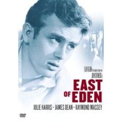 エデンの東　スペシャル・エディション（ＤＶＤ）