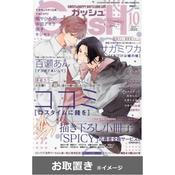 ＧＵＳＨ（ガッシュ） (雑誌お取置き)1年12冊