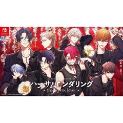 Nintendo Switch ハンサムロンダリング -the mystic lover-