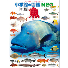 小学館の図鑑NEO〔新版〕魚