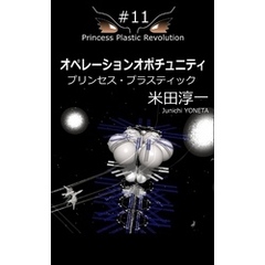 オペレーションオポチュニティ（2017）#11