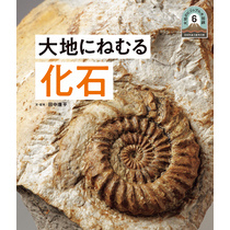 日本列島５億年の旅　大地のビジュアル大図鑑　大地にねむる化石