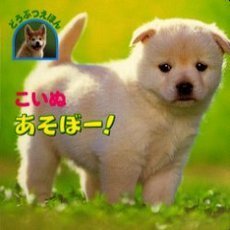 こいぬあそぼー！