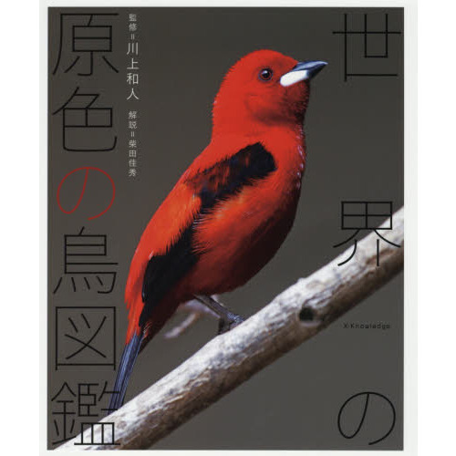 世界の原色の鳥図鑑 通販｜セブンネットショッピング