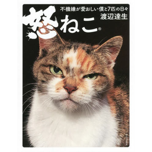 怒ねこ 不機嫌が愛おしい僕と7匹の日々 通販｜セブンネットショッピング