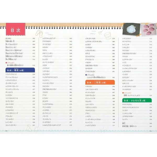 mymy様ご確認用 ことわざカード 幼児から 3集