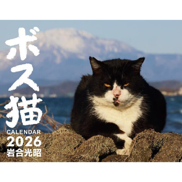 ボス猫CALENDAR2026 通販｜セブンネットショッピング