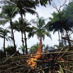 ֥ͥåȥåԥ󥰤㤨MetaphorsSelectedSoundworksfromtheCinemaofApichatpongWeerasethakulˡפβǤʤ2,750ߤˤʤޤ