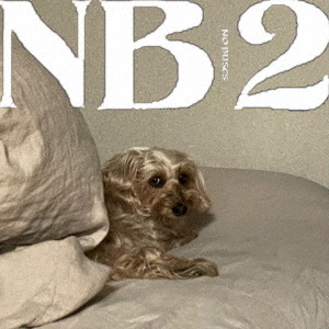 ֥ͥåȥåԥ󥰤㤨NB2פβǤʤ2,999ߤˤʤޤ