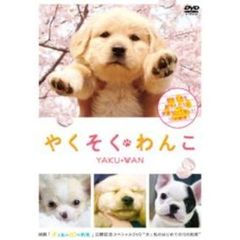 やくそくわんこ（ＤＶＤ）