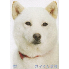 カイくん日和（ＤＶＤ）