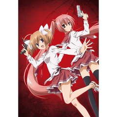 緋弾のアリアAA Bullet.6（ＤＶＤ）
