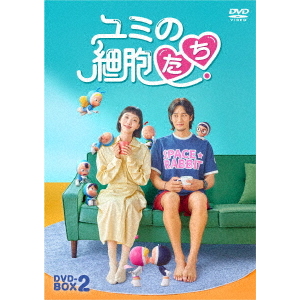 愛してる、泣かないで DVD-BOX 4（ＤＶＤ） 通販｜セブンネットショッピング