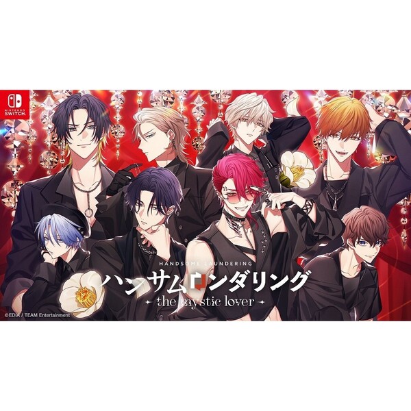 Nintendo Switch ハンサムロンダリング -the mystic lover- 特装版
