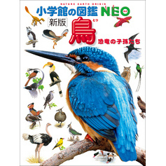 小学館の図鑑NEO〔新版〕鳥