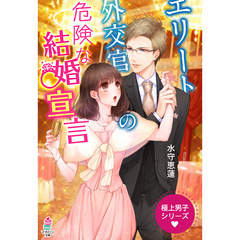 極上男子シリーズ～エリート外交官の危険な結婚宣言～