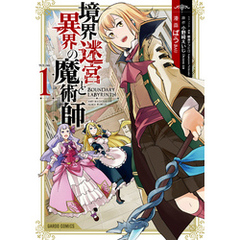 境界迷宮と異界の魔術師 1