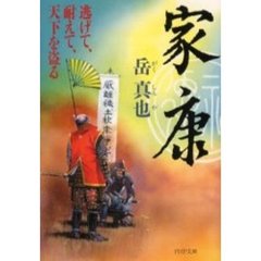 家康　逃げて、耐えて、天下を盗る