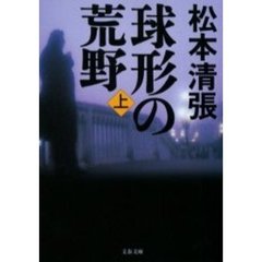 球形の荒野　上