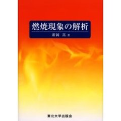 燃焼現象の解析
