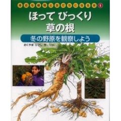 身近な植物と友だちになる本　５　ほってびっくり草の根　冬の野原を観察しよう
