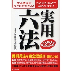 実用六法　平成２２年版