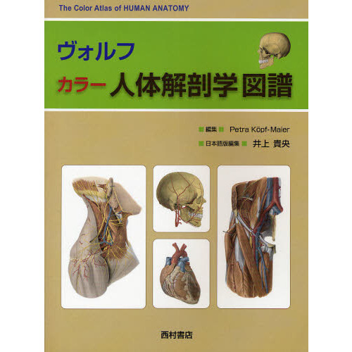 ヴォルフ カラー人体解剖学図譜 通販｜セブンネットショッピング