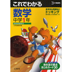 これでわかる数学　中学１年