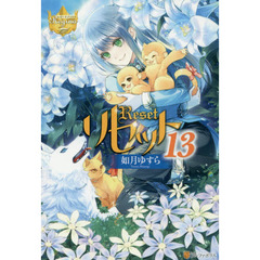 リセット　１３