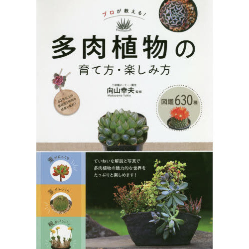 プロが教える！多肉植物の育て方・楽しみ方 図鑑630種 通販｜セブン
