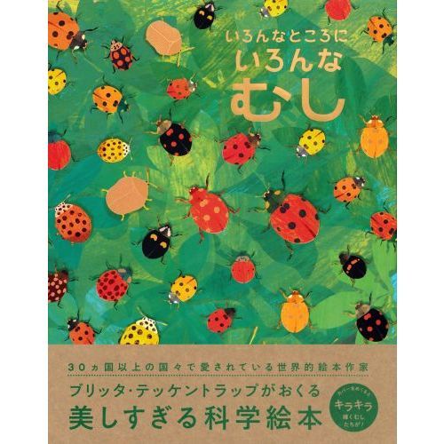 いろんなところにいろんなむし 通販｜セブンネットショッピング