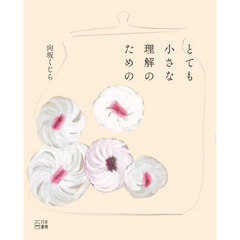 とても小さな理解のための