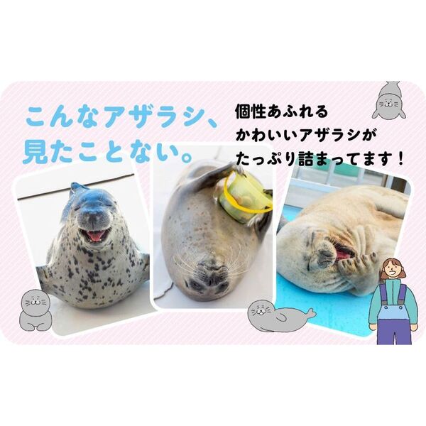 もっとアザとく、自分ラシく 通販｜セブンネットショッピング