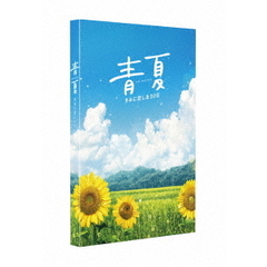 青夏 きみに恋した30日 豪華版 DVD（ＤＶＤ）