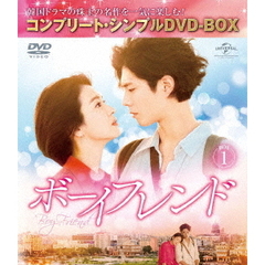 ボーイフレンド BOX 1 ＜コンプリート・シンプルDVD-BOX 5000円シリーズ／期間限定生産＞（ＤＶＤ）