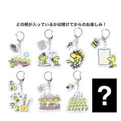 ミニアクリルキーホルダー　ＰＮＷＳ２