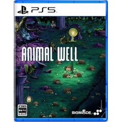 PS5　ANIMAL WELL
