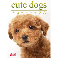 cute dogs10 トイプードル