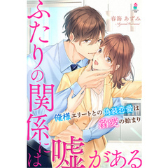 ふたりの関係には嘘がある～俺様エリートとの偽装恋愛は溺愛の始まり～