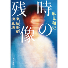 凍結事案捜査班　時の残像